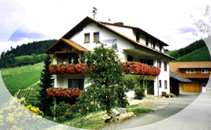 Ansicht Haus Josef Roth